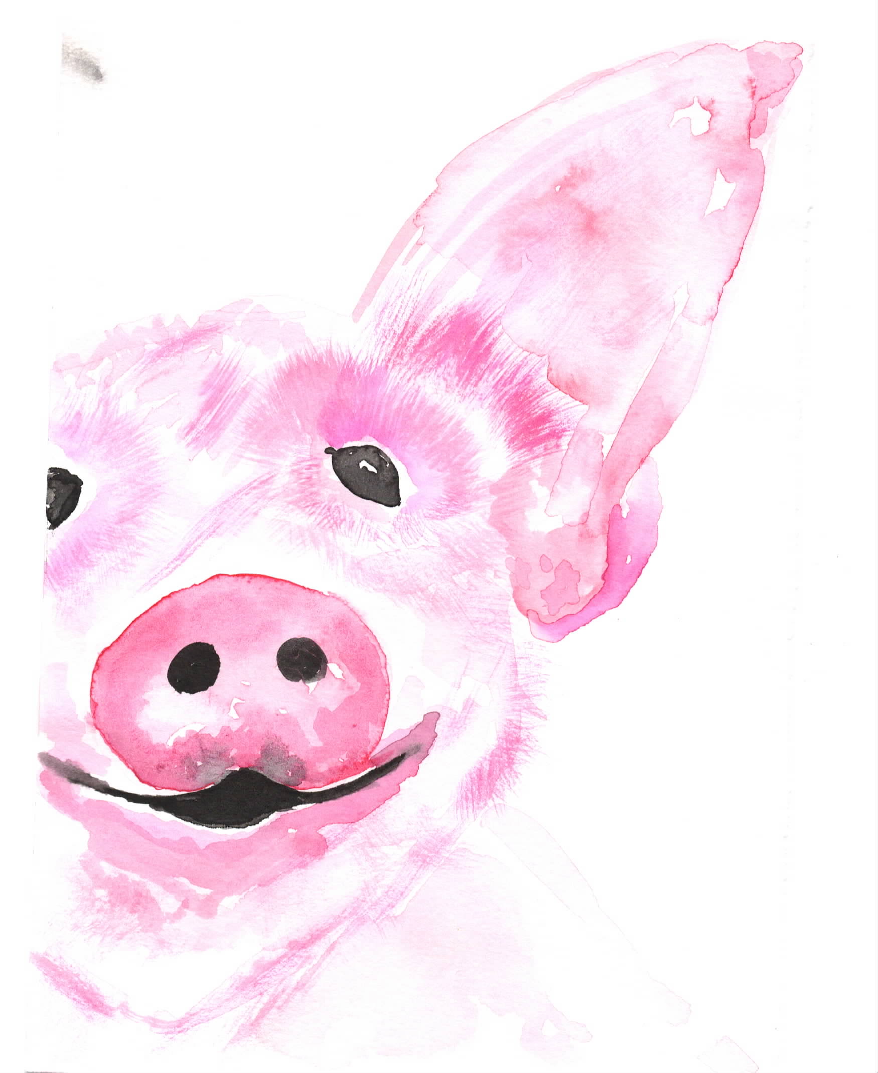 Here, Piggy Piggy!